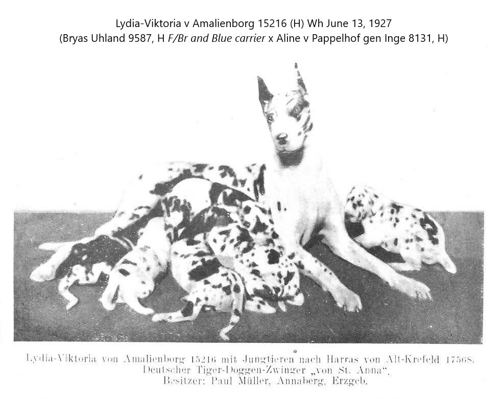 Lydia-Viktoria von Amalienborg